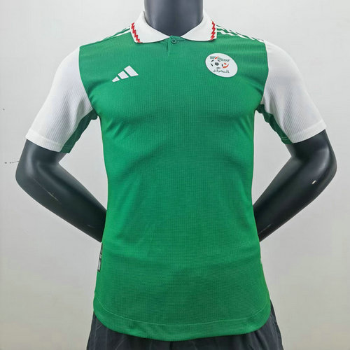 algérie maillots de foot 2022-2023 vert player version homme